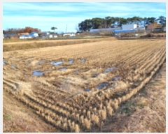  2024Ÿ60648 泲    621-8      ()