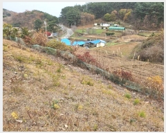  2024Ÿ��60938 �泲 �¾ȱ� �̿��� ���� ��141-3      ����(�Ӿ�)���