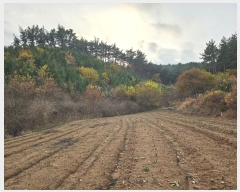  2024Ÿ��60938 �泲 �¾ȱ� �̿��� ���� ��141-3      ����(�Ӿ�)���