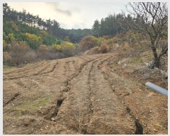  2024Ÿ��60938 �泲 �¾ȱ� �̿��� ���� ��141-3      ����(�Ӿ�)���