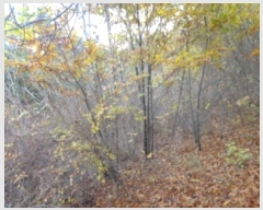  2024Ÿ��60938 �泲 �¾ȱ� �̿��� ���� ��141-3      ����(�Ӿ�)���