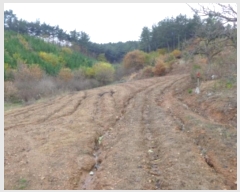  2024Ÿ��60938 �泲 �¾ȱ� �̿��� ���� ��141-3      ����(�Ӿ�)���