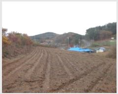  2024Ÿ��60938 �泲 �¾ȱ� �̿��� ���� ��141-3      ����(�Ӿ�)���