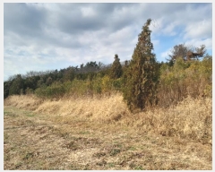  2024Ÿ��61030 �泲 �¾ȱ� ���� ���帮 3-12      ����(�Ӿ�)���