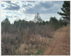  2024Ÿ��61030 �泲 �¾ȱ� ���� ���帮 3-12      ����(�Ӿ�)���