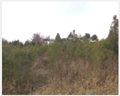  2024Ÿ��61030 �泲 �¾ȱ� ���� ���帮 3-12      ����(�Ӿ�)���