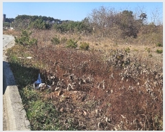  2024Ÿ��61122  �Ӿ߰��