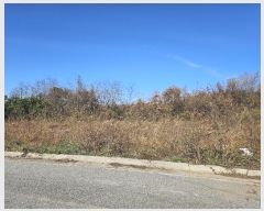  2024Ÿ��61122  �Ӿ߰��