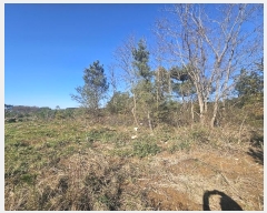  2024Ÿ��61122  �Ӿ߰��