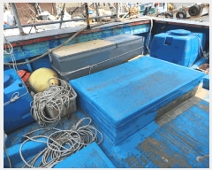  2024Ÿ��61344  ���ڰ��