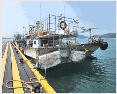  2024Ÿ��61344  ���ڰ��