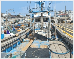  2024Ÿ��61344  ���ڰ��