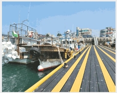  2024Ÿ��61344  ���ڰ��