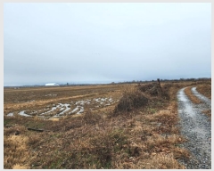  2024Ÿ��61566 �泲 �¾ȱ� �¾��� �ݰ 1156      ����(��)���