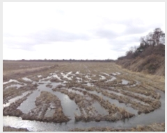  2024Ÿ��61566 �泲 �¾ȱ� �¾��� �ݰ 1156      ����(��)���