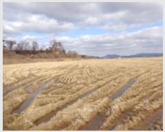  2024Ÿ��61566 �泲 �¾ȱ� �¾��� �ݰ 1156      ����(��)���