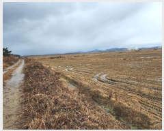  2024Ÿ��61566 �泲 �¾ȱ� �¾��� �ݰ 1156      ����(��)���