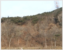  2024Ÿ��61573 �泲 ������ ���浿 ��191-3       ����(�Ӿ�)���