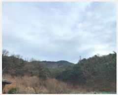  2024Ÿ��61573 �泲 ������ ���浿 ��191-3       ����(�Ӿ�)���