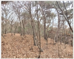  2024Ÿ��61573 �泲 ������ ���浿 ��191-3       ����(�Ӿ�)���