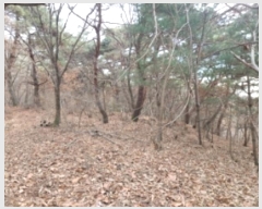  2024Ÿ��61573 �泲 ������ ���浿 ��191-3       ����(�Ӿ�)���