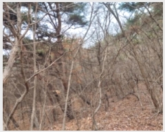  2024Ÿ��61573 �泲 ������ ���浿 ��191-3       ����(�Ӿ�)���