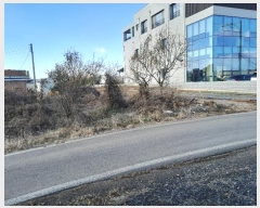  2024Ÿ��61733  �����