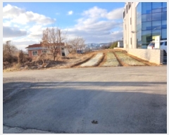  2024Ÿ��61733  �����