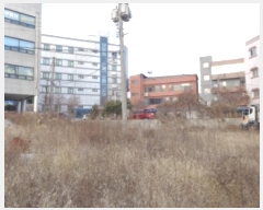  2024Ÿ��61795  �����