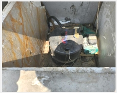  2024Ÿ1267 泲  û 923-8       ()