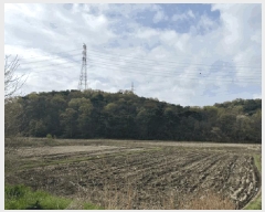  2024Ÿ4532 泲  ۻ ݾϸ 35-1      (Ӿ)