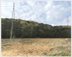  2024Ÿ4532 泲  ۻ ݾϸ 35-1      (Ӿ)