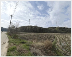  2024Ÿ4532 泲  ۻ ݾϸ 35-1      (Ӿ)