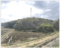  2024Ÿ4532 泲  ۻ ݾϸ 35-1      (Ӿ)