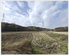  2024Ÿ4532 泲  ۻ ݾϸ 35-1      (Ӿ)