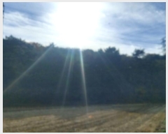  2024Ÿ4532 泲  ۻ ݾϸ 35-1      (Ӿ)