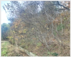  2024Ÿ4532 泲  ۻ ݾϸ 35-1      (Ӿ)