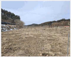  2024Ÿ��5092 �泲 ����� �μ��� ������ 303-1      ����(��)���