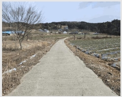  2024Ÿ��5092 �泲 ����� �μ��� ������ 303-1      ����(��)���