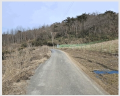  2024Ÿ��5092 �泲 ����� �μ��� ������ 303-1      ����(��)���