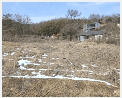  2024Ÿ��5092 �泲 ����� �μ��� ������ 303-1      ����(��)���