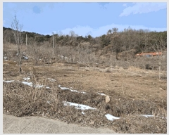  2024Ÿ��5092 �泲 ����� �μ��� ������ 303-1      ����(��)���