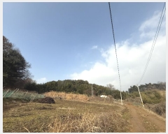  2024Ÿ��5344  �����