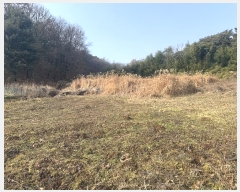  2024Ÿ��5344  �����