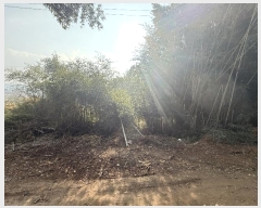  2024Ÿ��5344  �����