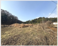  2024Ÿ��5344  �����