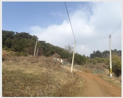  2024Ÿ��5344  �����