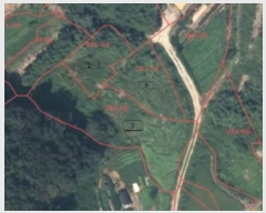  2024Ÿ��5344  �����