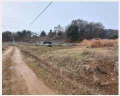  2024Ÿ��5344  �����