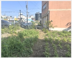  2024Ÿ��53800  �����